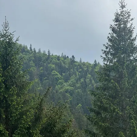 Отель верховинський водограй