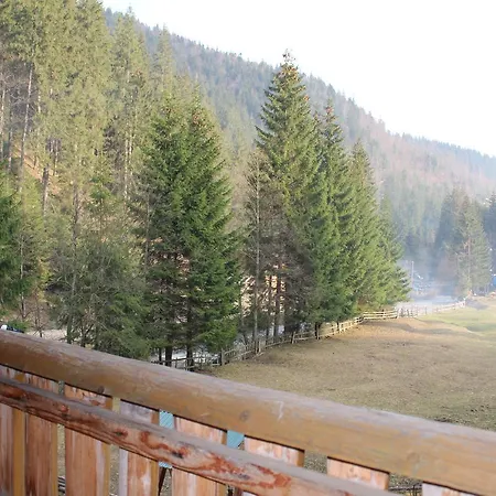 верховинський водограй